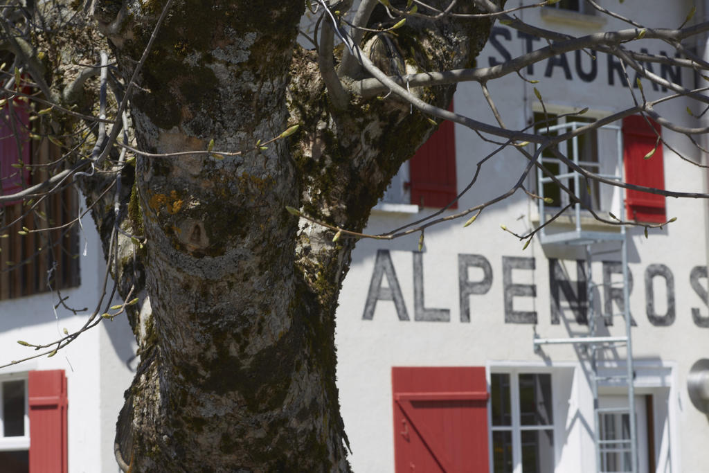 Alpenrose Gadmen - Gasthaus Bagian luar foto